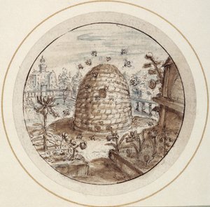 Bikube, tidlig på 1600-tallet (penn og brunt blekk med brune og grå vask)