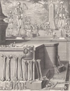 Plate for 