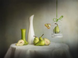 Grønn pære-sommerfugl av Cristiano Giani