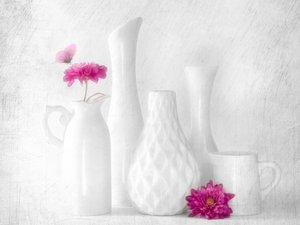 Rosa blomster, hvite vaser av Cristiano Giani