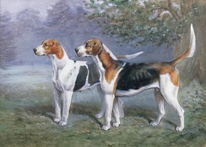 En tispe og hund i et landskap
