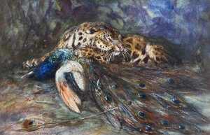 Jaguar med påfugl