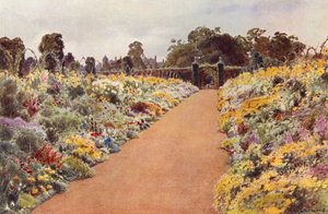 The Double Borders in the East Garden, Sandringham (farge litho) av Cyril Ward