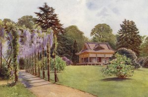 Det japanske huset og Wistaria Pergola, Bagshot Park (farge litho)