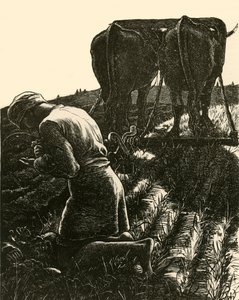 Den skjulte skatten, 1864, 1928.