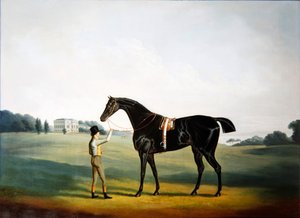 En hest og brudgom på eiendommen til Hooton Hall, Cheshire