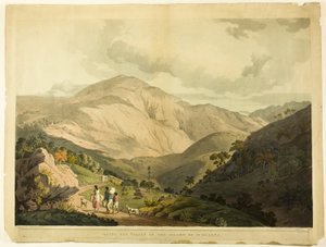 Sandy Bay Valley, St. Helena av Daniel Havell