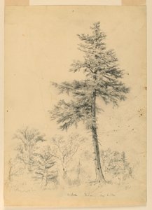 Studie av Hemlock, Gorham, New Hampshire av Daniel Huntington
