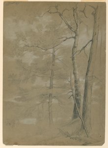 Studie av Hemlock and Beech, White Lake av Daniel Huntington