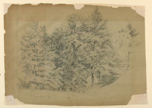 Study of Trees, North Conway, New Hampshire   1261925   no       norwegian Successfully Translated  Original: Sac de Rome en 455 : Genseric (ou Geiseric) (vers 399-477) et les Vandales envahissent Rome (Geiseric the Lame invades Rome). Ils pillent la ville av Daniel Huntington