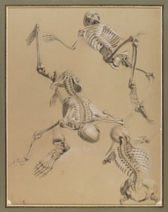 Studie av skjeletter, 1848 (kritt på papir)