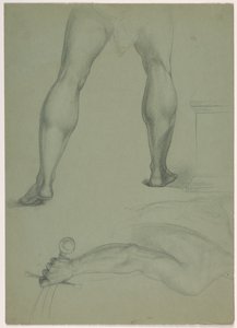 To partielle anatomiske studier av Daniel Huntington