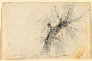Willow on the Rhône, Genève, Sveits av Daniel Huntington