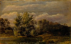 Et skogsvann omgitt av bjørker. Studie.