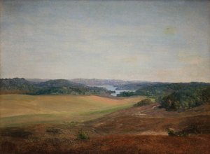 Landskap nær Silkeborg, Jylland