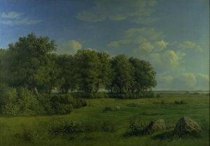 Øya Brandsø med Wedellsborg Skog, Fyn, i det fjerne