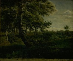 Ørsbjerg Skog ved Aarup, Fyn av Dankvart Dreyer