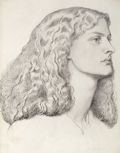 Annie Miller (penn og blekk)