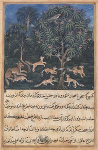 Side fra Tales of a Parrot Tuti-nama: Femte natt: Papegøyemoren advarer..., ca. 1560. av Daswanth