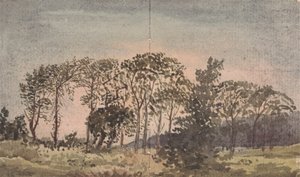 Landskap med trær