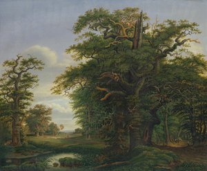 Eik, 1847 av David Christopher Mettlerkamp