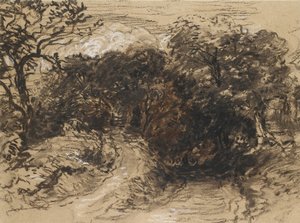 En hul Lane nær Harborne, Derbyshire (svart kritt med innslag av hvitt og litt brun vask) av David Cox