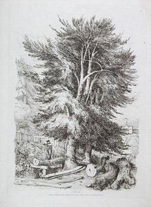 Bøk nr. 18, illustrasjon fra Progressive Lessons on Landscape for Young Beginners, 1816 (myk grunnetsing) av David Cox