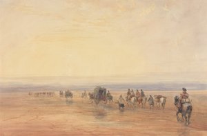  av David Cox