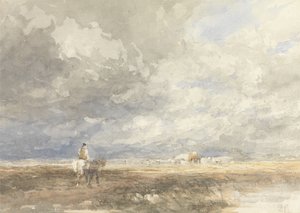  av David Cox