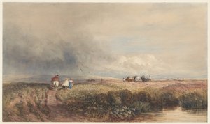  av David Cox