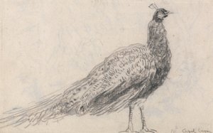  av David Cox