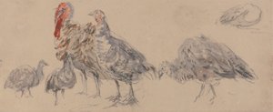 Studie av Tyrkia av David Cox