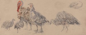  av David Cox
