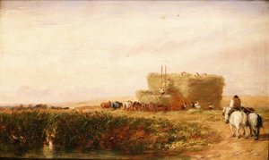 Hayfield av David Cox