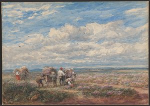  av David Cox