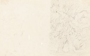 Trær [verso] av David Cox