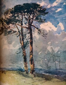 Scotch Firs, 1805