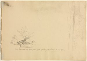 Landskap og trestudier verso, ca. 1851. av David Johnson