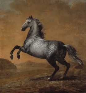 Den lille engelskmannen, kong Karl XI (1655-97) sin hest