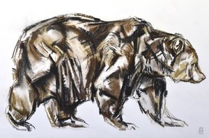 Brown Bear walking, 2012 (Pastell/Conte på papir)