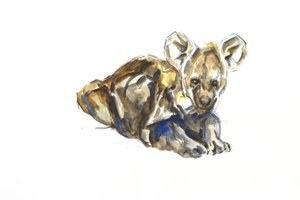 Hyenevalp, 2020 (akvarell, fargestift og gouache på papir)