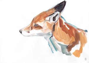 Portrett av rødrev, 2021 (gouache / fargestift)