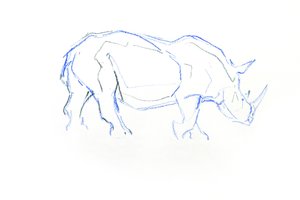 White Rhinoceros, 2020 (fargestift på papir) av David Mayer