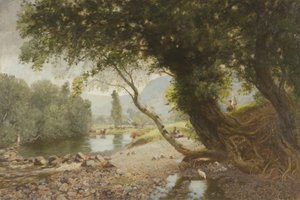 Eføy, eik og Bonnie Birken-treet, Bettws-y-Coed
