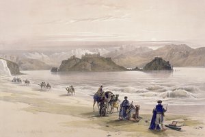 Isle of Graie, Gulf of Akabah, Arabia Petraea, 27. februar 1839, plate 108 fra bind III av 
