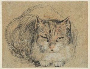 Katt, studie for #39;The Cut Finger#39; (recto), ca. 1809 (svart, rødt og hvitt kritt, svart og hvitt kritt på lagt papir) av David Wilkie