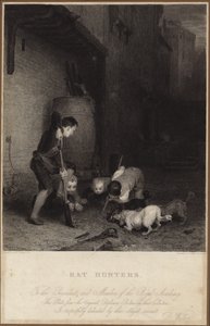 Rottejegere av David Wilkie