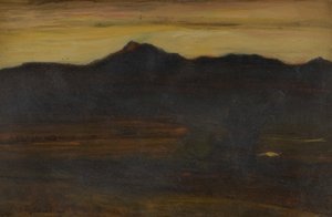  av David Young Cameron