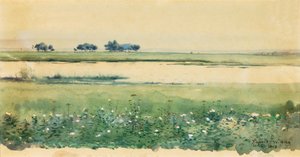 Landskap med myrer, 1898.