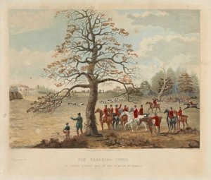 [Revejakt] sett på fire: (2) Fox Breaking Cover / At Upper Gatton Seat of the Duke of St. Alban's